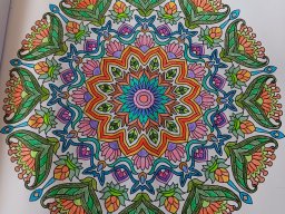 whatsapp bild 2024-01-23 um 11.59.03_66ea2810